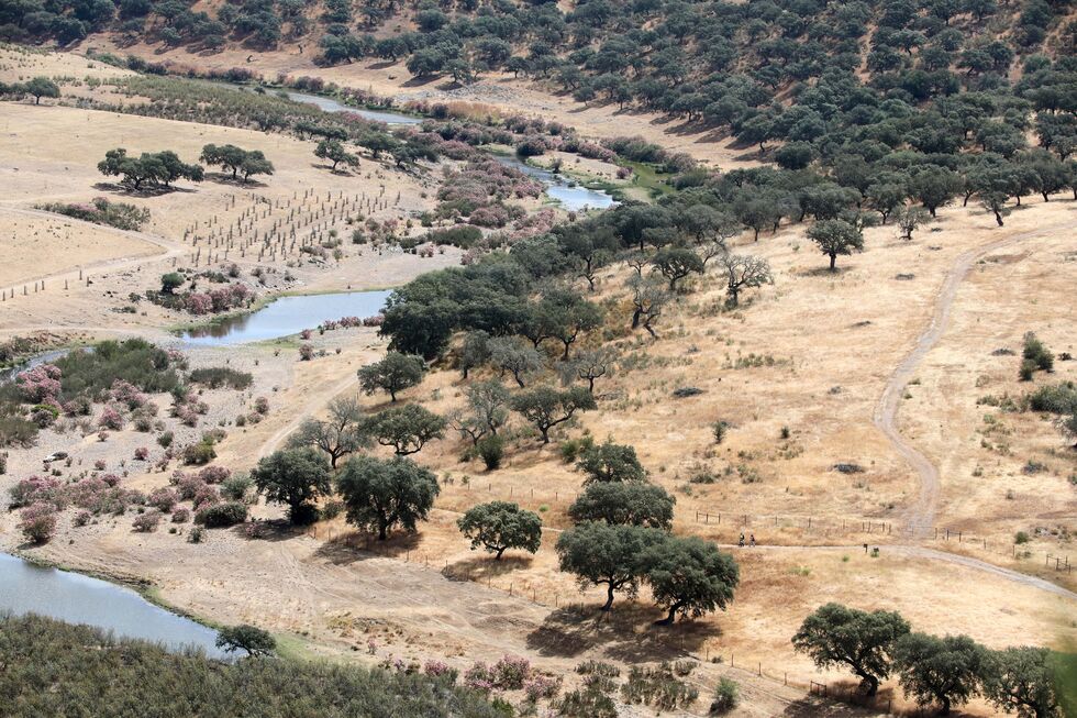 Alterações climáticas têm sido mais rápidas do que a capacidade de ação dos governos