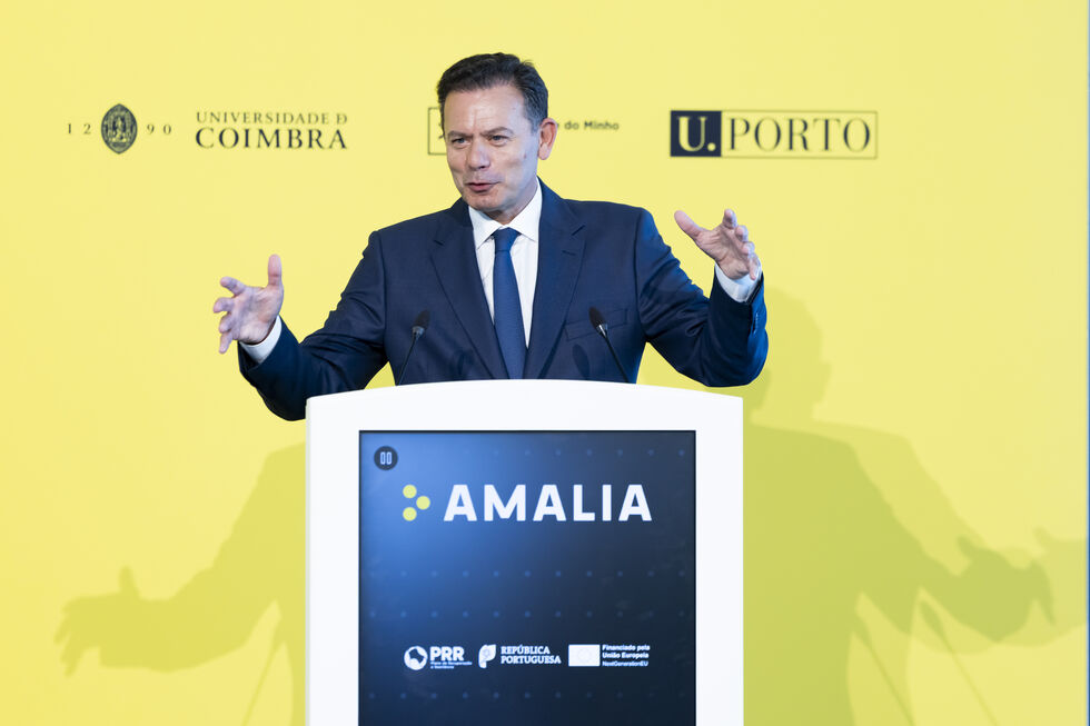 AMALIA, a IA portuguesa, disponível nas universidades