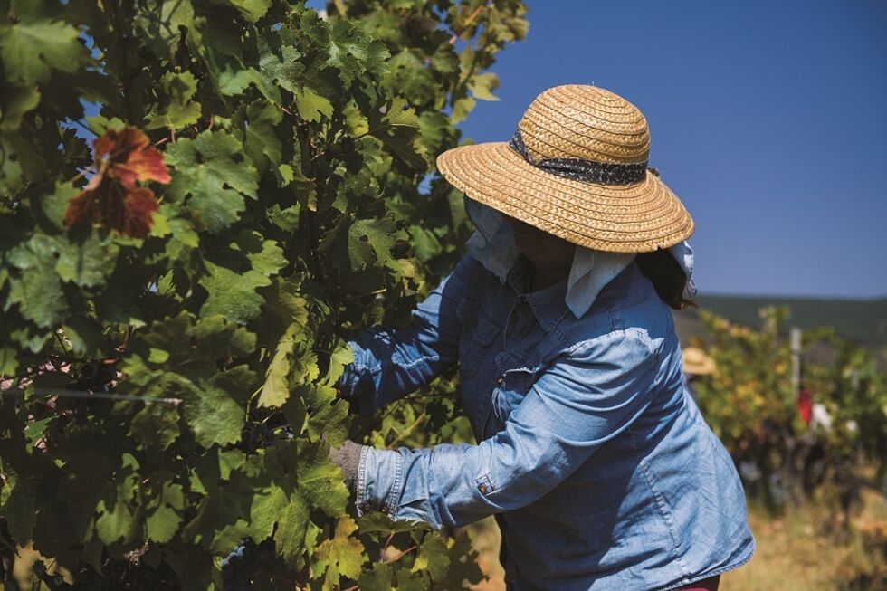 UE prevê corte nas verbas destinadas a Portugal nas áreas da coesão e da agricultura