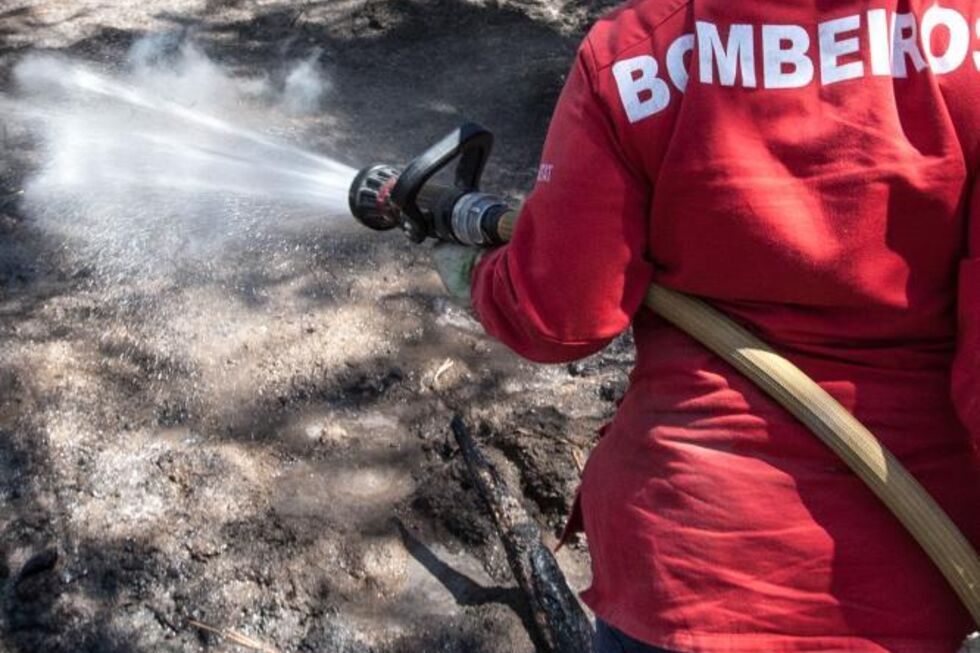 Bombeiro apaga incêndio em floresta com mangueira