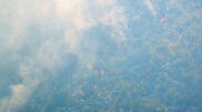 <![CDATA[ Incêndios florestais ameaçam habitações no sul da Bósnia ]]>