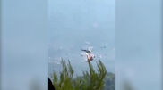 <![CDATA[ Dois helicópteros colidem durante combate aos incêndios na Grécia ]]>