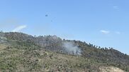 <![CDATA[ Incêndio deflagra em Carrazeda de Ansiães ]]>