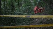 <![CDATA[ Quatro mortos em queda de helicóptero em zona florestal do Rio de Janeiro ]]>
