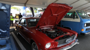 <![CDATA[ Centenas de carros clássicos e antigos brilham em feira automóvel em Porto Rico ]]>