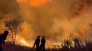 <![CDATA[ Imagens impressionantes mostram incêndio florestal de grandes dimensões perto da capital da Albânia ]]>