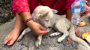 Ajuda humanitária chega às áreas devastadas pelas enchentes no Nepal enquanto continuam as operações de resgate