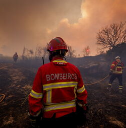 Mais 500 operacionais combatem fogo de Valpaços que está em resolução