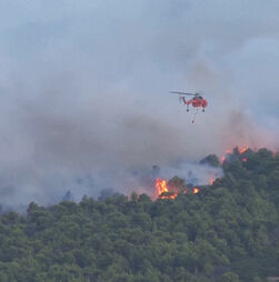 Bombeiros combatem incêndio florestal na Grécia