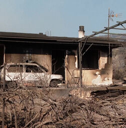 Incêndio perto de Atenas deixa rasto de destruição e ameaça novas localidades
