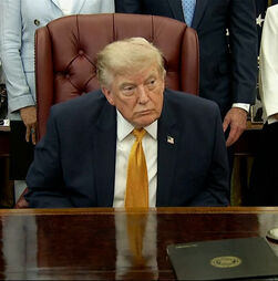“Precisam de acabar com a imigração ilegal na Europa”: Trump critica políticas migratórias e energéticas