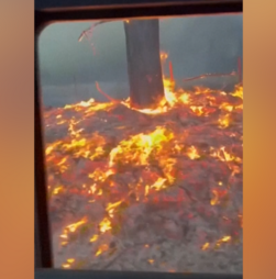 Chamas continuam a ameaçar Washington após destruírem centenas de habitações