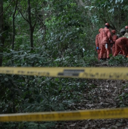 Quatro mortos em queda de helicóptero em zona florestal do Rio de Janeiro 