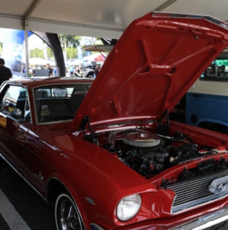 Centenas de carros clássicos e antigos brilham em feira automóvel em Porto Rico  