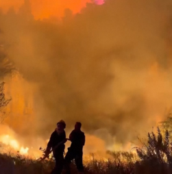 Imagens impressionantes mostram incêndio florestal de grandes dimensões perto da capital da Albânia 