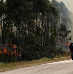 Incêndio em Valongo está dominado 