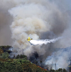 Incêndio em Arouca com três frentes ativas envolve 311 operacionais e cinco meios aéreos