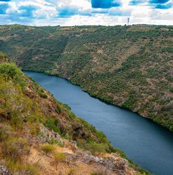 Nove organizações de ambiente defendem plano de restauro da natureza mais claro e operacional