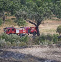 Mais de 200 operacionais estão a combater incêndio em Abrantes