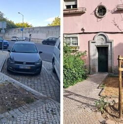As árvores de que Lisboa sente falta: cidadãos mapeiam centenas de caldeiras vazias na cidade