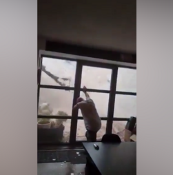 Mulher regista momento em que tornado lhe destrói o quintal no sul de França