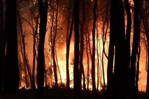 Ventos fortes alimentam grande incêndio florestal na Grécia