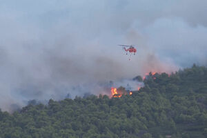 Bombeiros combatem incêndio florestal na Grécia
