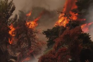 Incêndio de grandes dimensões continua a alastrar a oeste de Atenas e obriga a novas evacuações