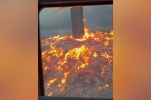 Chamas continuam a ameaçar Washington após destruírem centenas de habitações