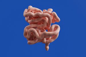 Transplante de microbiota fecal ajuda a combater alergias