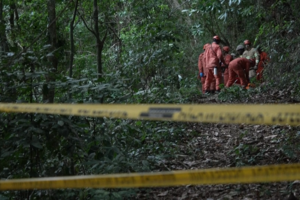 Quatro mortos em queda de helicóptero em zona florestal do Rio de Janeiro 