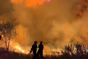 Imagens impressionantes mostram incêndio florestal de grandes dimensões perto da capital da Albânia 