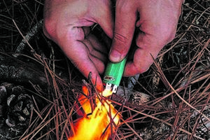 Quase uma centena de incendiários está atrás das grades
