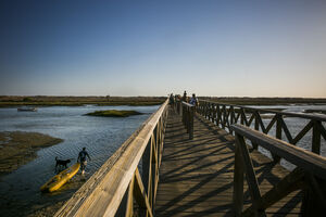 Passadiço sobre a Ria Formosa