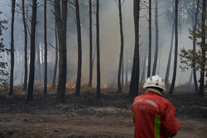 Incêndios já queimaram milhares de hectares