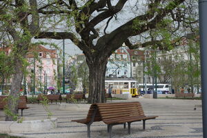 Esfaqueamento ocorreu no jardim Roque Gameiro, no Cais do Sodré, em Lisboa