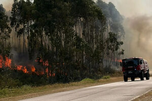 Incêndio em Valongo