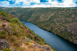 Organizações apontam erros ou imprecisões no Plano Nacional de Restauro da Natureza (PNRN)