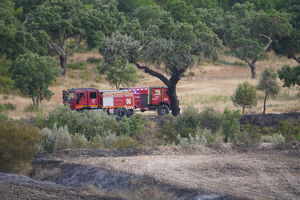 Incêndio em Abrantes