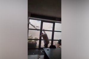 Mulher regista momento em que tornado lhe destrói o quintal no sul de França