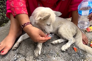 Ajuda humanitária chega às zonas devastadas pelas cheias no Nepal enquanto prosseguem as operações de resgate  