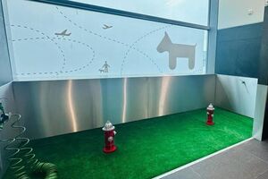 "Nunca vi nada assim". Turista surpreendido com WC canino no Aeroporto de Lisboa