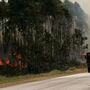 Incêndio em Valongo está dominado 