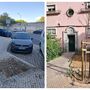 As árvores de que Lisboa sente falta: cidadãos mapeiam centenas de caldeiras vazias na cidade