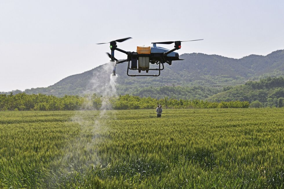 Drone chinês deita pesticida sobre campo na China