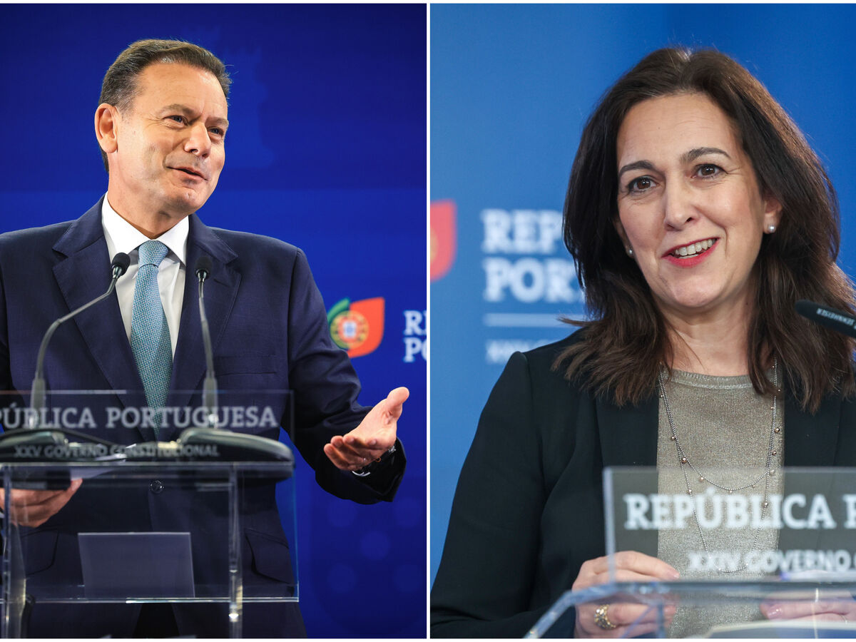 Da Spinumviva aos milhões da família Júdice: Raio-X às empresas dos políticos