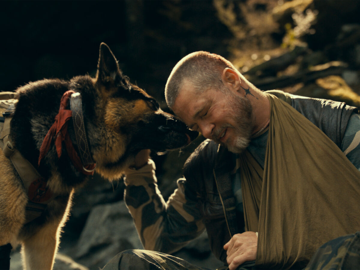 "Heróis Inseparáveis": um grande Brad Pitt quase eclipsado por um cão