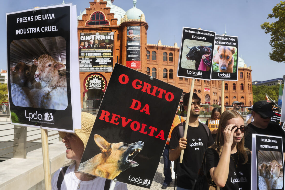 Manifestação em Lisboa pelos direitos de todos os animais