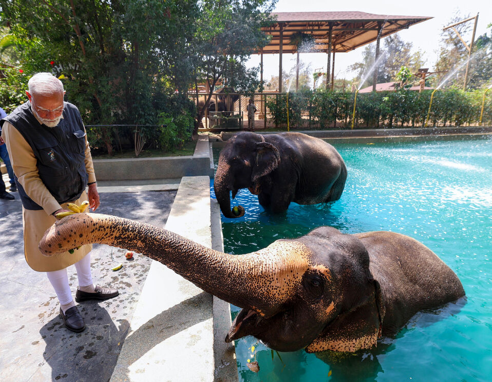 O primeiro-ministro Narendra Modi inaugurou o zoo Vantara em março de 2025