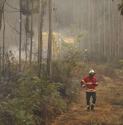 Incêndio de Sintra em fase de conclusão, provocou quatro feridos ligeiros